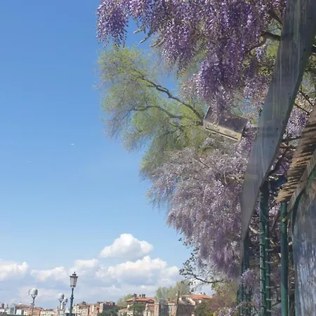 Biennale Flat In Giardini * Venise